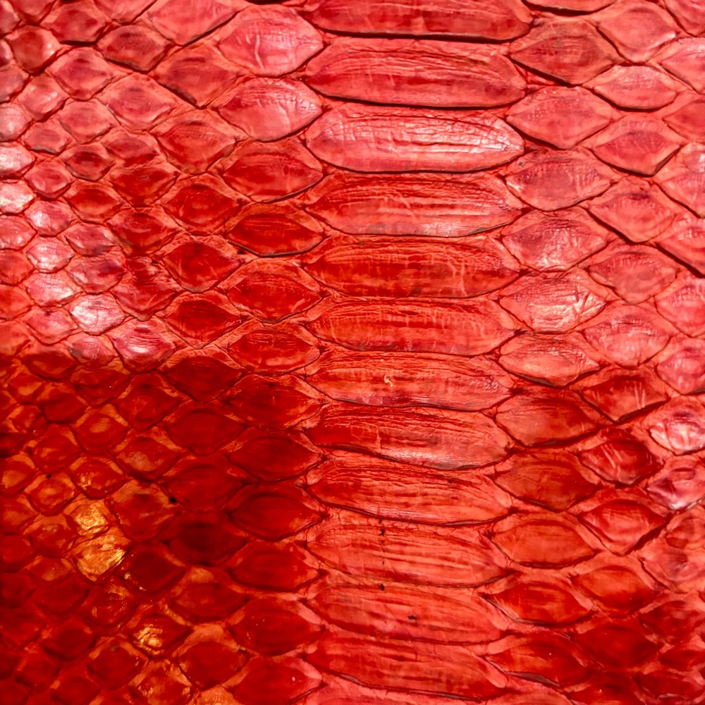 Johnny Ramli Designer Red Snakeskin Zip Bag/Clutch - Picture 7 of 16